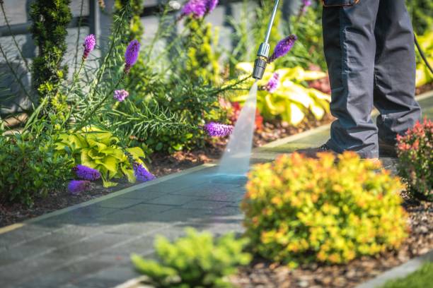 Best Restaurant Pressure Washing  in Harkers Island, NC